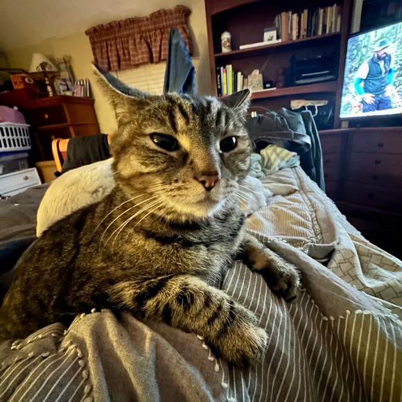 Meet your Posher, Justin - Picture 1 of 1